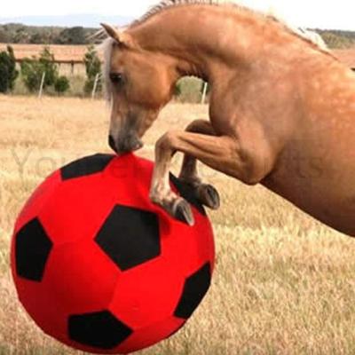 China Round Feeding Toy Treat Ball for Horse Training Stress Ball Toy Large Horse Gym Yoga Horse Ball with Canvas Cover Toy Customized for sale