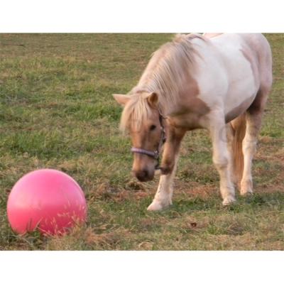 China Large Size Eco-Friendly Round Jolly Ball Horse Toy 40 Inch Anti-burst Soccer Ball Toy For Training for sale