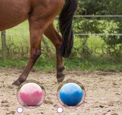 China High Excellence Round Horse High Stress Ball Toy Anti-burst Horse Training Soccer Ball for sale