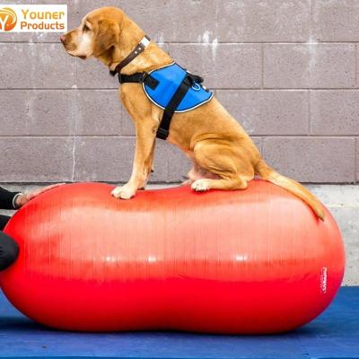 China Sustainable Inflatable PVC Peanut Balance Ball Dog Training House Pet Exercise for sale