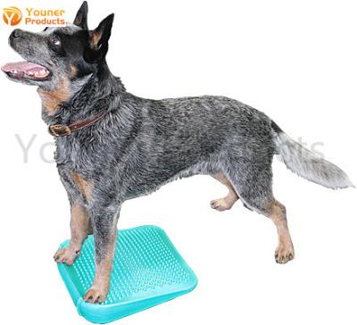 China Outdoor Dog Playground Dog Walk Balance Ramp Sustainable Pet Training Equipment Outside Dog Park Customized Doggie for sale