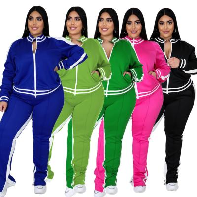 China Autumn And Winter Women Plus Size Zipper Sporty Multicolor Sweatshirt Breathable Two Piece Set for sale