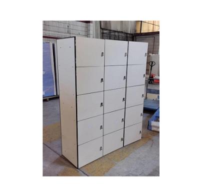 China EN438 Single or Woodgrain Guangdong Color Steel Metal Storage Locker Craft Locker & EN476 for sale