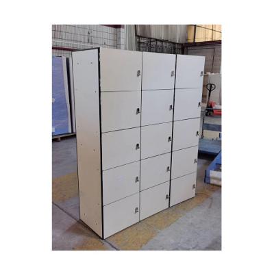 China Single Support Frame Aluminum Material Or Woodgrain Color Locker Storage Lockers Metal Steel & EN438; EN476 for sale