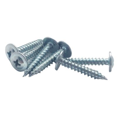 China Professional Window Nail Truss Head Manufacturing White Drilling Tapping Screws for sale