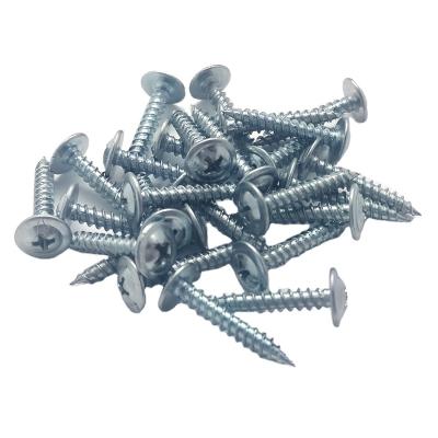 China Truss head fully stocked fitting fitting tapped nails tapping screw for sale