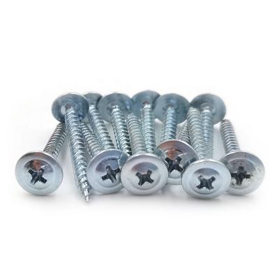 China Wholesale White Galvanized Truss Fastener China Sharp Point Point Screw for sale