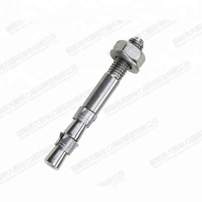 China A2 A4 304 Stainless Steel 316 Wedge Repair Anchor, Anchor Bolt, Throughout Bolt for sale