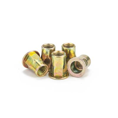 China Colored Galvanized Plating M4 - M12 Stainless Steel Flat Head End Hex Rivet Heavy Industry Factory Color Semi Half Open Nut for sale