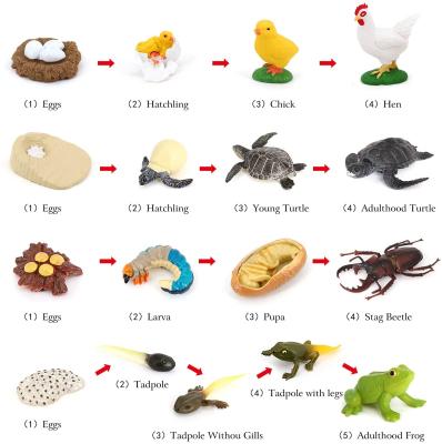 China Kids Birthday Gift Figurines Animal Toys Set Life Cycle Toys Sea Turtle Frog Chicken Animal Toys 44*46.5*65 for sale