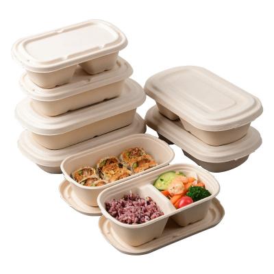 China Compostable Biodegradable Under 90 Days Light Salad Packing Box Pulp Disposable Lunch Box Food Container Compartment Biodegradable Take Out Bento for sale