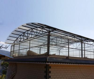 China 0,8–3 mm geprägte und gewellte Polycarbonatplatte für Gewächshaus, Wintergarten, Terrassenschuppen zu verkaufen