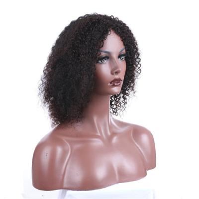 China Short Curl Style Cap Full Lace Human Hair Wigs Color Wigs Natural Curly Swiss Dark Curly Full Lace Wigs for sale