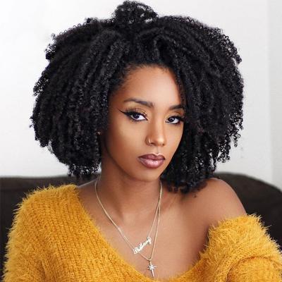 China Afro Kinky Curly Wave Afro Clip In Brazilian Hair Extensions 100% Remy Hair 4B 4C Hair Clip Ins Full Head for sale