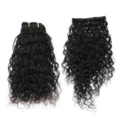 China Natural Wave Customized Logo Natural Wave Clip In Hair Extensions Human Remy Hairpiece Head For Women for sale