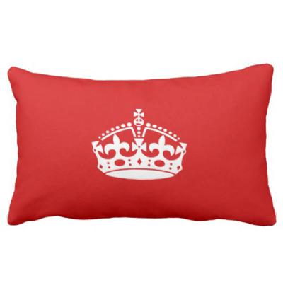 China Hot Sale Fire Retardant Outdoor Decor Rectangular Throw Car Pillow for sale