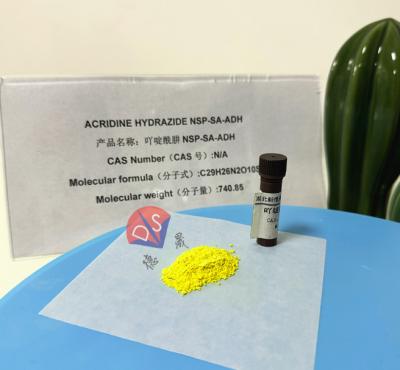 China Acrylamide Hydrazide NSP-SA-ADH: A Powerful Assistant For Cell Imaging And Localization Research for sale