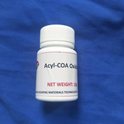 China Verzwak het de Gele Acyl Oxydase van Coa/Enzym CAS nr 61116-22-1 van Hoge Zuiverheidsaco Te koop