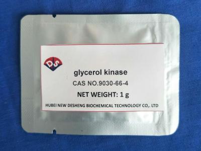 China CAS GEEN 9030-66-4 Analyse van het Glycerolkinase/Glycerolbuffer 99,95% voldoet Te koop