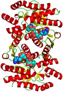 China HPLC Malaatdehydrogenase Analyse/CAS GEEN 9001-64-3 Appelenzym 2 Poeder Te koop