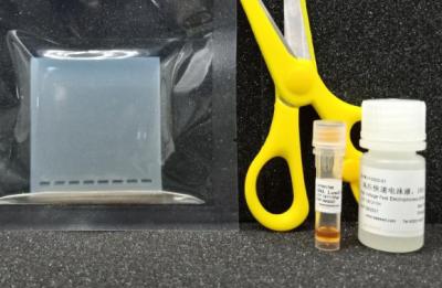 中国 Agarose Precast Gel Electrophoresis Kit Nucleic Acid PCR Experiments 販売のため