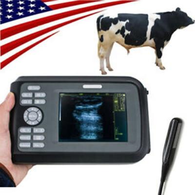 China Excellent Horses Digital Diagnostic Portable Color Animal Veterinary Ultrasound Machine for sale