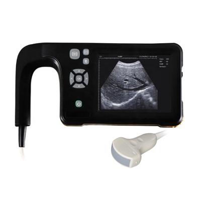 China China Horses Portable Rectal Probe Veterinary Ultrasound Machine For Veterinary Use for sale