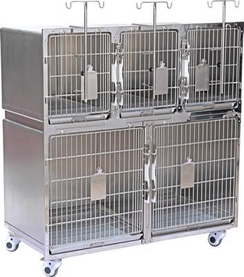 China Heavy Duty Pet Boarding Hospital Breeding In Sale Metal Dog Cages For Dogs for sale