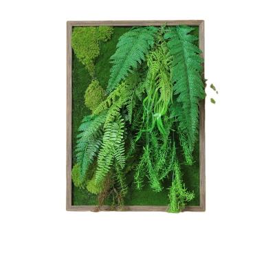 China Indor Decoration Plant Hanging Wall Artificial Simulation Moss Wall Decor For Indoor And Living Room for sale