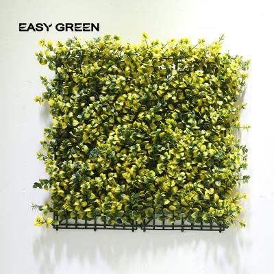 China Eco-friendly Durable Vertical Outdoor Garden Plant Fence Home Decoration 50cm Mint 50 X Boxwood Wall Plant Leaves Artificial Hedge Panels for sale