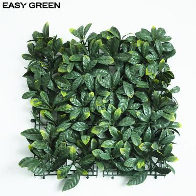 China Eco-Friendly Promotion 50 X 50 Cm Increase Density Boxwood Hedge for sale