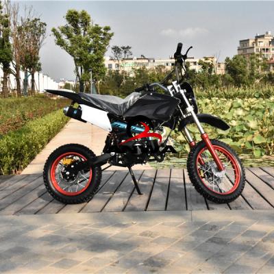 China For Adults Electric Shock 48v Dirt Cub Racing Motorcycle 110cc Pocket Bike 10inch As Standard 12 14 Inch Available for sale