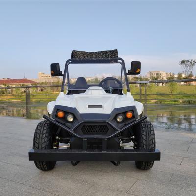 China 4x4 250cc 2200w Mini Gas 200cc 2000w China 1800w Adult 150cc 1500w 1000w Utv 800cc 1000cc 10inch Alloy for sale