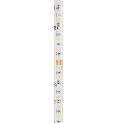 China Theme Park Quality Dc5v Ws2812b Sk6812 Digital Smart 60leds 120leds Two Width RGB Double Row 20mm Led Strip for sale