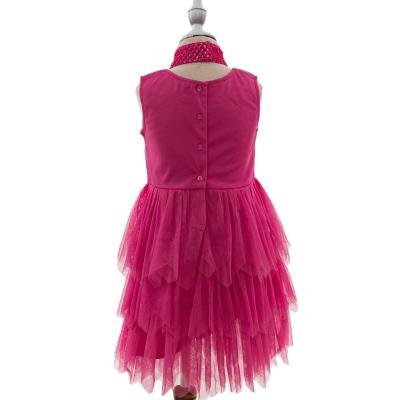 China Anti-wrinkle Finalz spring summer girl dress gauze flowers tutu skirts for sale