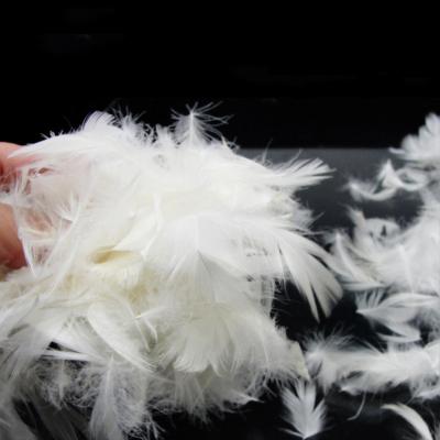 China TOPGREEN Natural Raw White Goose Feather Soft White Goose Feather 95% Washed Feather for sale