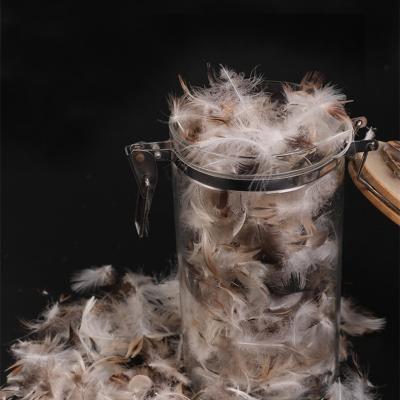 China TOPGREEN Soft Tops 2-4cm Fillers Wholesale Duck Feather Down Power Washed Gray Duck Feather for sale