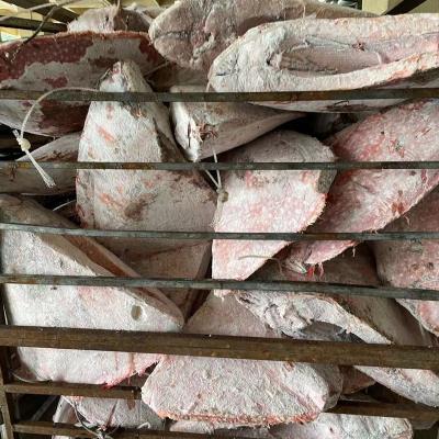 China Good Selling Original Indonesia Moon FROZEN Frozen Fish Seafood for sale