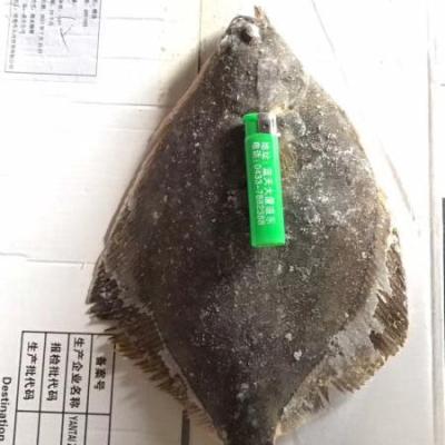 China Low Sugar Frozen Fish Whole Round For Sale Yellow Flounder for sale