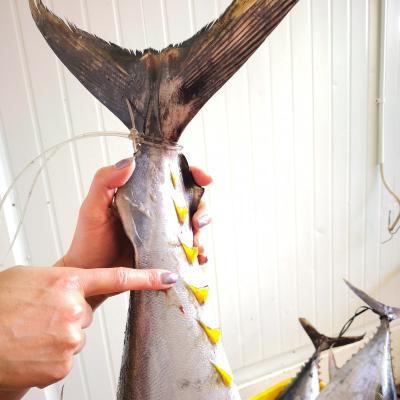 China Frozen low sugar fin yellowfin tuna for sale