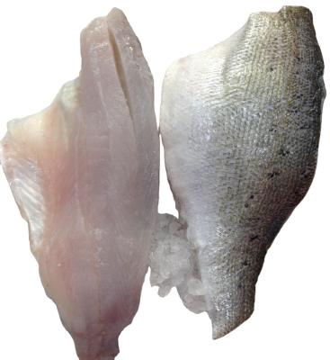 China Whole round low sugar frozen fish for sale sea bass for sale