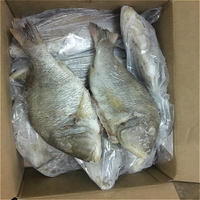 China Indonesia Emperor FROZEN GT Frozen Fish for sale