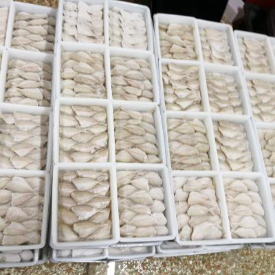 China Non-Nicotine FROZEN Glass Fish for sale