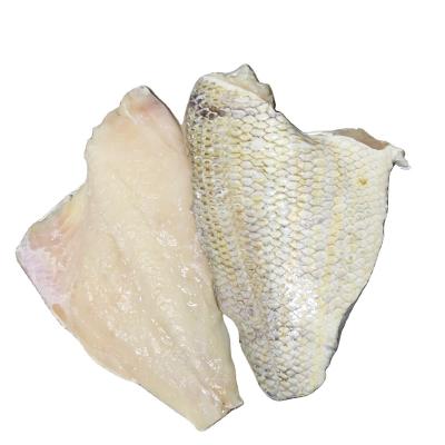 China FROZEN Emperor Fish Fillet for sale