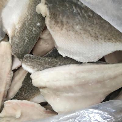 China Best Price Red Drum FROZEN FROZEN for sale