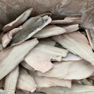 China Good Sale Chemical Free Frozen Bass Fillet JELLY for sale