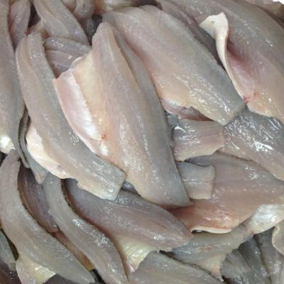 China Best Price 3-5oz Seafood Frozen Bass Fillet for sale