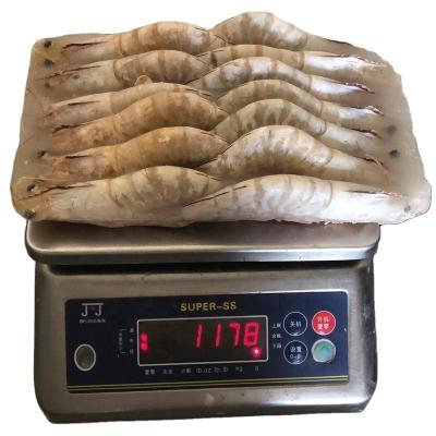 China FROZEN Indonesia Big Prawn Frozen Prawn Selling High for sale