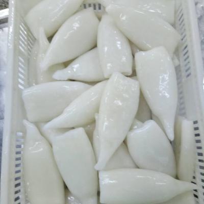 China High Quality Low Fat Frozen Squid Tube for sale