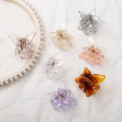 China Environmental Friendly Small Butterfly Clamp Mori Girl Acrylic Single Hair Jaw Clips Hair Accessories Clips Factory for sale